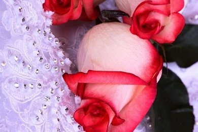 Wedding Flowers iPhone 4 Wallpapers