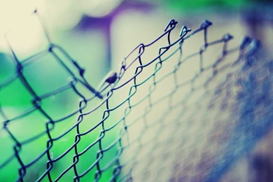 Close Up Net Fence Blue Green Light Backgrounds Wallpapers ...