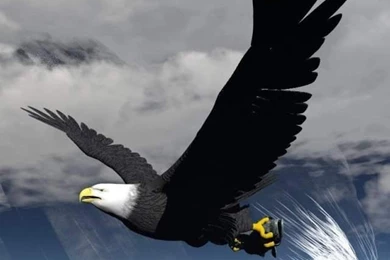 Top Wallpaper Backgrounds Desert Eagle Images For Pinterest