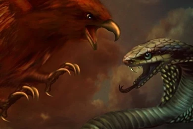 Download Eagle Vs Cobra Wallpapers For iPhone 4