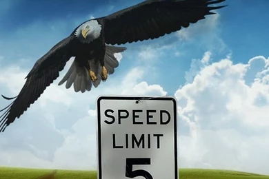 Eagle Speed Limit iPhone 4s Wallpapers Download