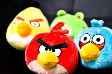 Angry Bird Wallpapers 222203