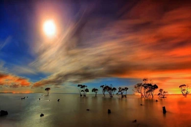 Wallpapers Hd 1080p Nature DD5   Pretty Wallpapers HD