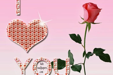 Free Love Wallpapers Gallery