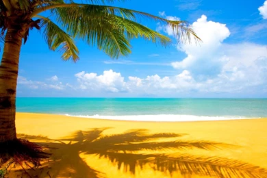 Summer Wallpapers For Computer Hd Widescreen 10 Hd Wallpapers