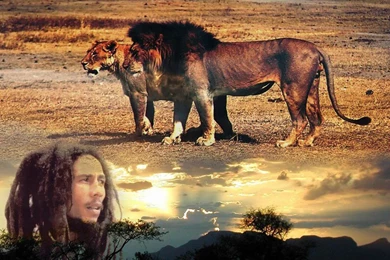 Top Wallpapers Ska Music 1280x1024 Images For Pinterest