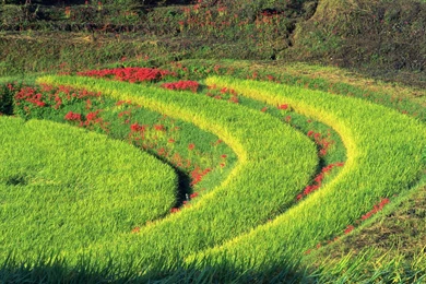 Widescreen, Computer, Backgrounds, Laptop, Desktops, Japan ...