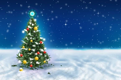 Christmas tree snow 1366 x 768.jpg
