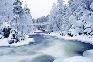 Christmas Backgrounds Wallpapers