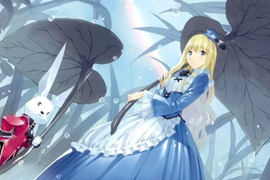 Alice In Wonderland And The White Rabbit Anime HD Desktop ...