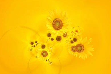 Bright Wallpapers For Desktop 12 Photos Of Bright Wallpapers For ...