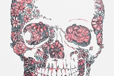 Background, Cute, Flower, Frilly, Girly, Iphone, Pink, Skull ...