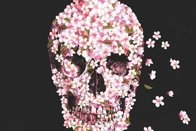 Top Pink Skull Wallpapers For Iphone Images For Pinterest