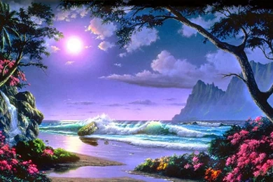 Mist Amazing Nature World Beautiful places HD Wallpapers.jpg