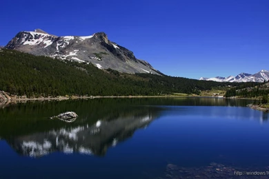 Nature Full HD Scenery Wallpapers – Windows 10 Wallpapers