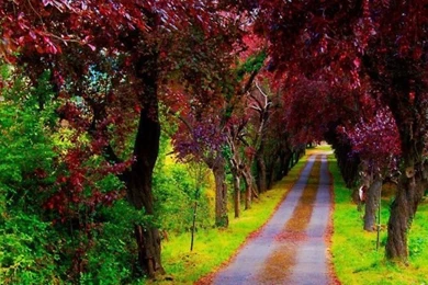 Nature & World Beautiful Spots 40 Hd Wallpapers   XDwallpaper.com