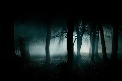 Dark Category   Page 2 Of 10   WalOps.com