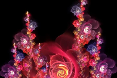Desktop Wallpapers · Gallery · Windows 7 · Curly Rose