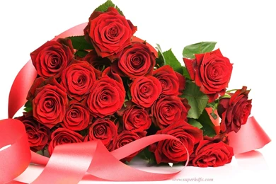 Red Rose Desktop Wallpapers   SUPERHDFX