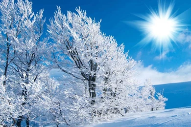 Download Beautiful Nature Images HD Wallpapers   Wallpapers