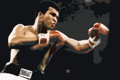 Ali Wallpapers Iphone   Wallpapers Animal Hd