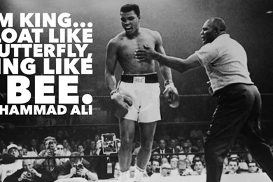 Quotes Muhammad Ali Knockouts. QuotesGram