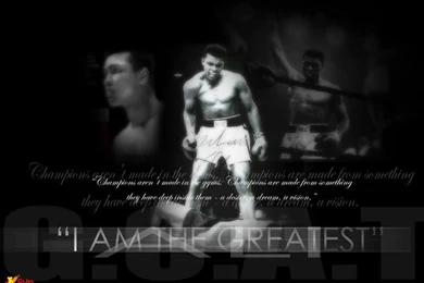 Free HD Wallpaper: Muhammad Ali Wallpapers