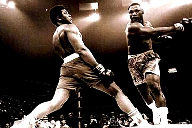 Muhammad Ali Wallpapers Hd HD Wallpapers On Picsfair.com