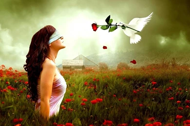 Love Wallpapers Hd 1080p Free Download For Laptop