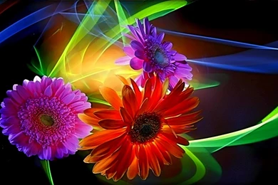 Cool Abstract Flower