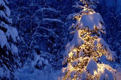 Christmas iPad 3,4 & Air Wallpapers