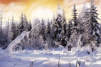 Best 15 Free Christmas iPad 2 Wallpapers