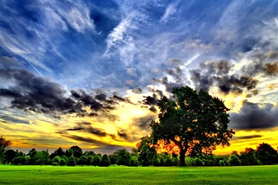 Beautiful HD Backgrounds