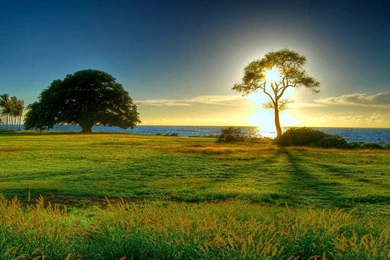 Natural Sunset HD Wallpapers