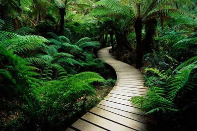 Top Nature Wallpapers For Desktop Images For Pinterest