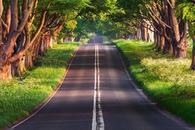 21:9 Wallpapers Dump For My Ultra wide Brethren : PCmasterrace