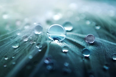 Ultrawide, Landscape, Nature, Photography, Macro Wallpapers HD