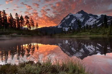 HD Nature Wallpapers — DownloaDeer. Simply The Best.