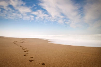 Footprints In The Sand Wallpapers