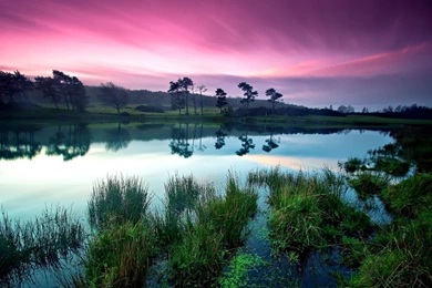 Stunning Nature Backgrounds Wallpapers