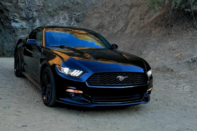 2015 Ford Mustang Coupe Muscle Wallpapers