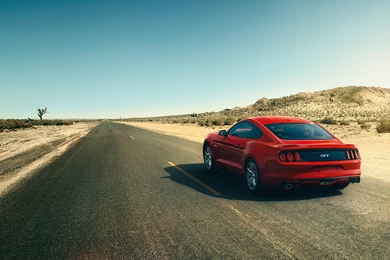 2015 Ford Mustang 50th Anniversary