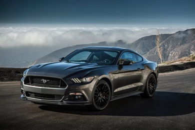 Black Car Ford Mustang 2015 2560x1920px