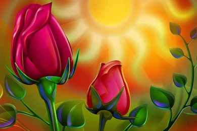 Rose Wallpapers For Laptop