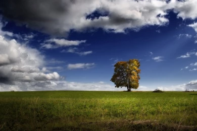 Gallery For   Backgrounds Pictures Full Hd