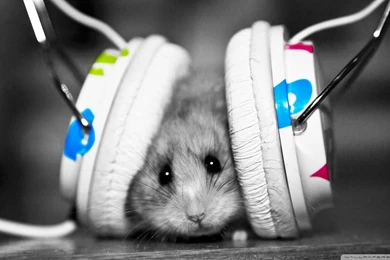 Top Dj Hd Wallpapers 1080p Images For Pinterest