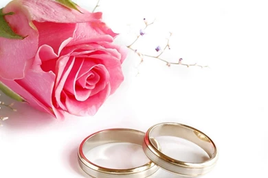Wedding Rings Rose Flower HD Stock Images