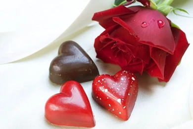 Pictures Of Flowers Rose Photos Hd Desktop Wallpapers   Wallpoop ...