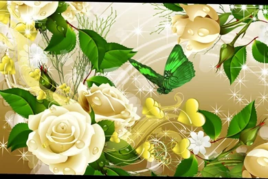 Www Rose Flowers Wallpapers   3 Items