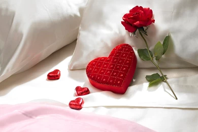 Red Rose Flowers Wallpapers